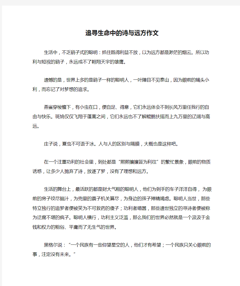 追寻生命中的诗与远方作文