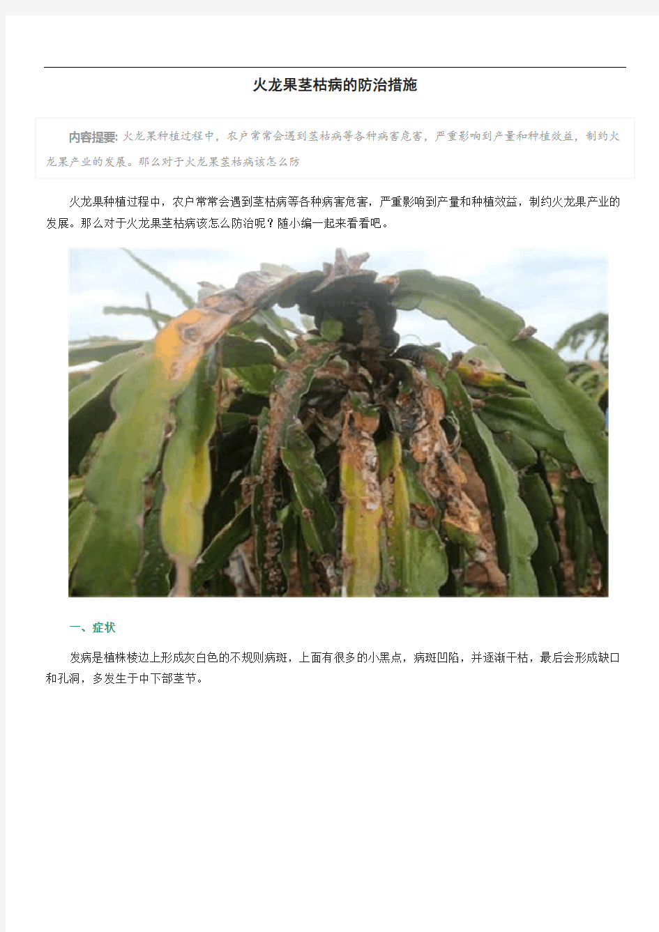 火龙果茎枯病的防治措施