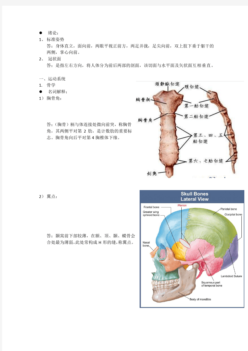 华中科技大学解剖学复习题和答案配图版