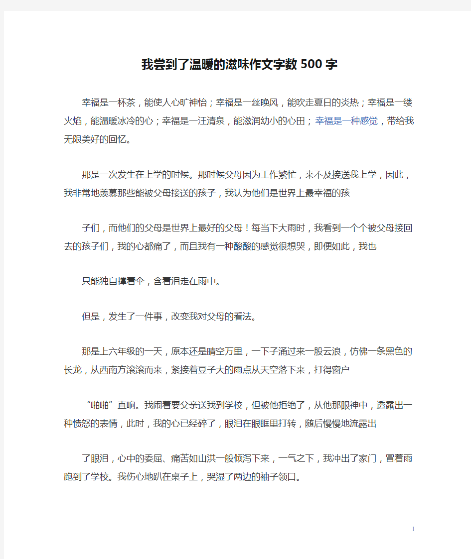 我尝到了温暖的滋味作文字数500字