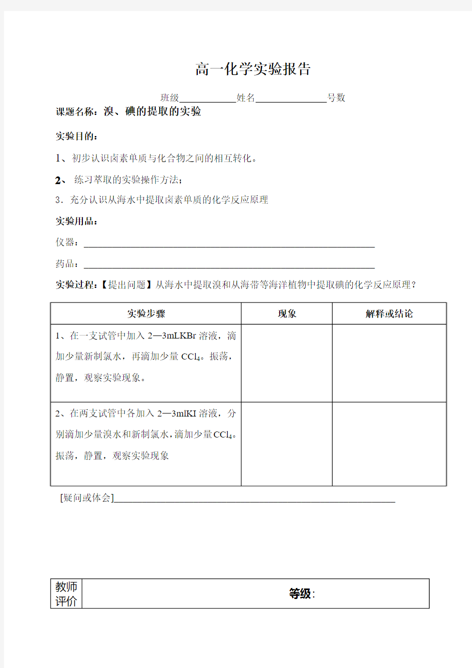 高一化学必修探究实验报告