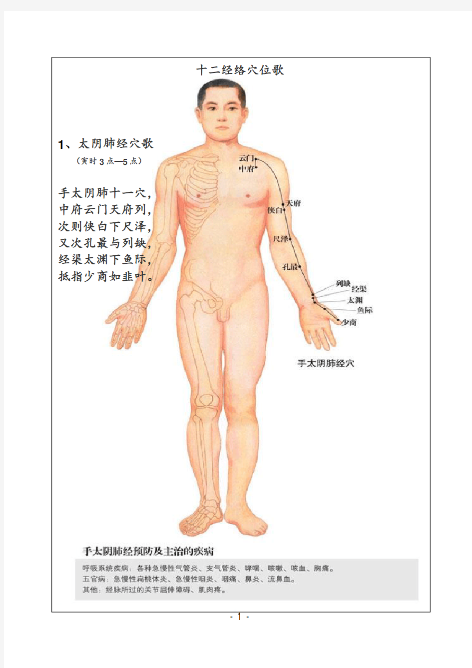 十二经络穴位歌(图文对照)