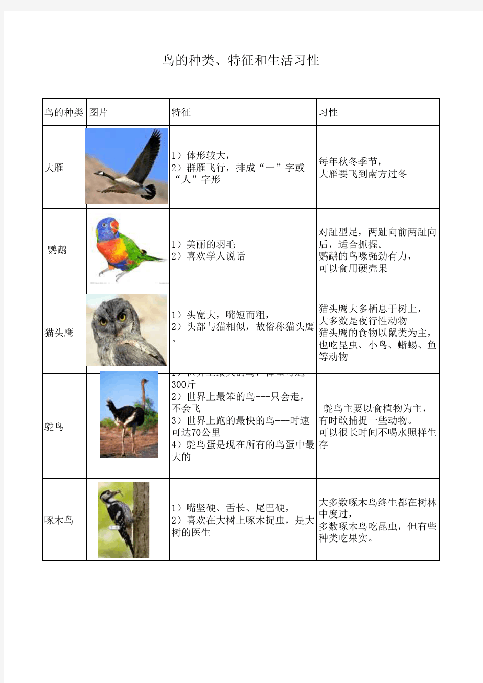 鸟的种类和特征
