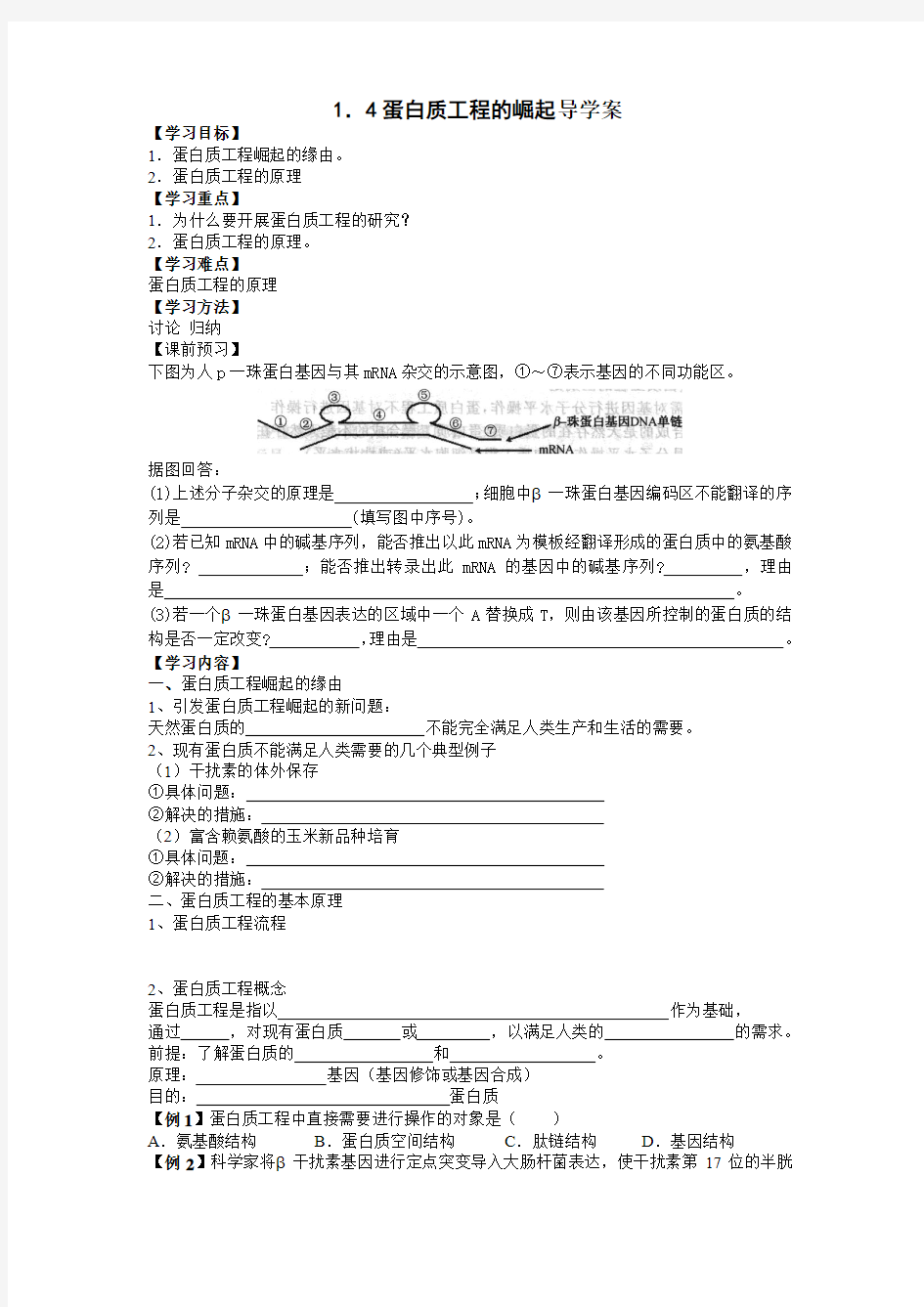 蛋白质工程的崛起 导学案