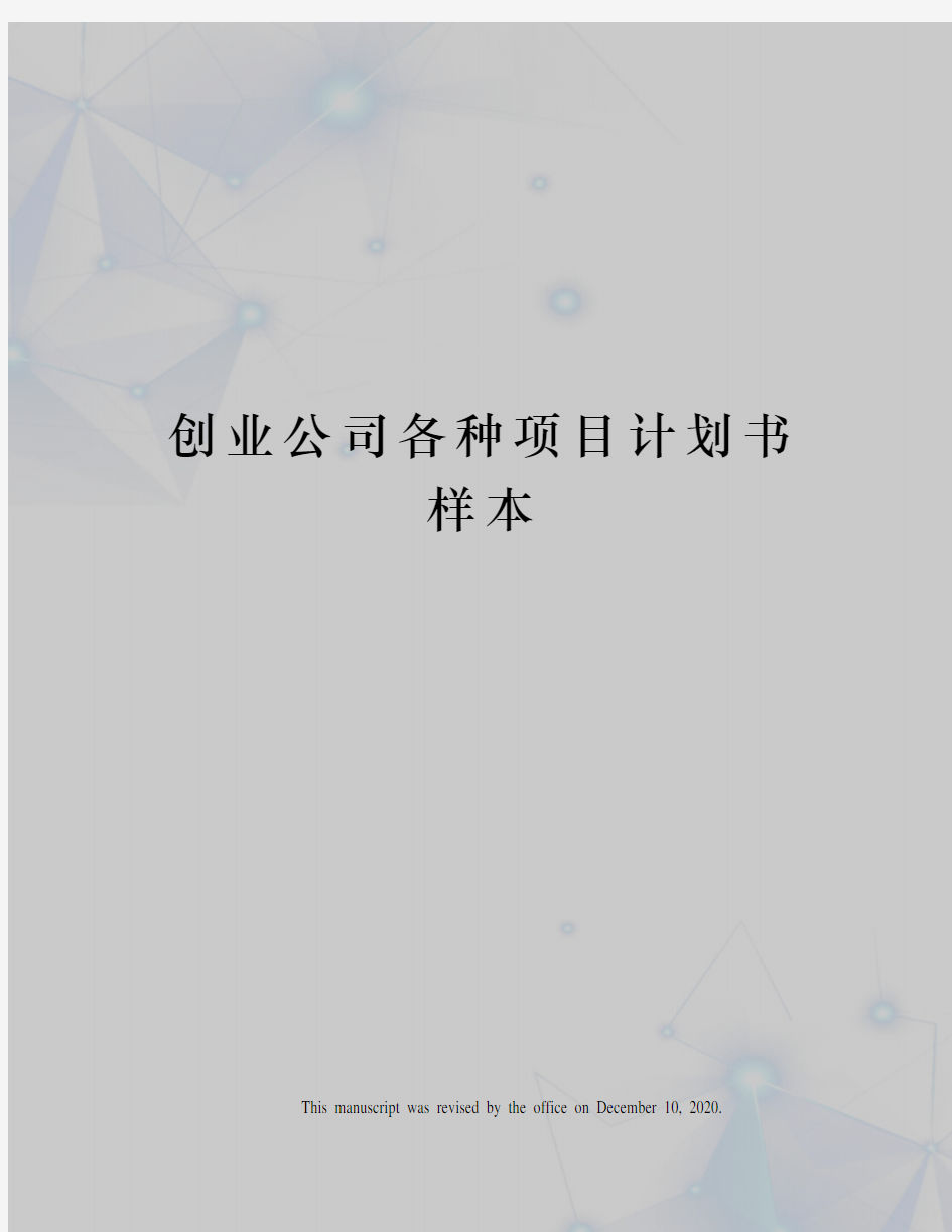 创业公司各种项目计划书样本