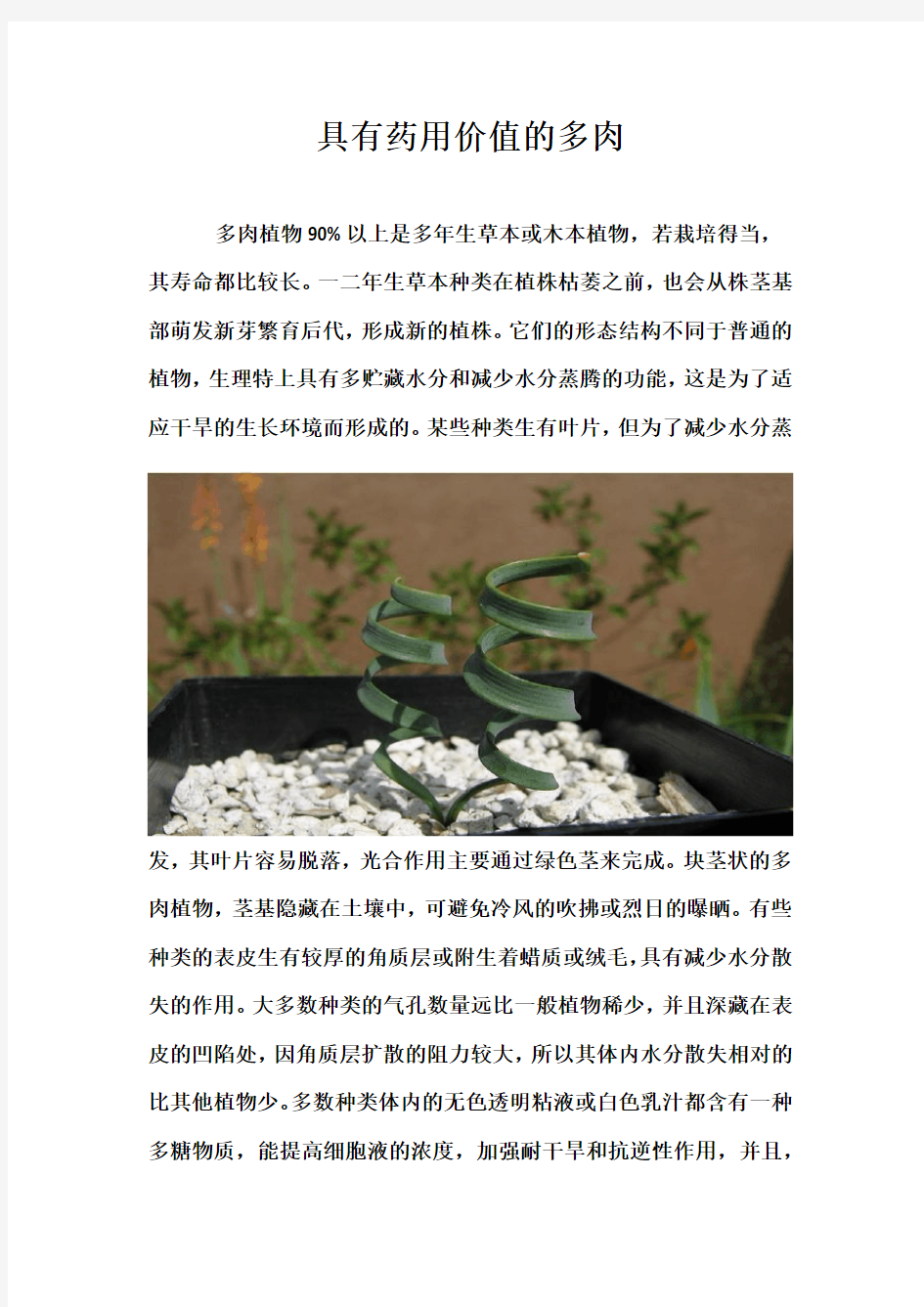 具有药用价值的多肉