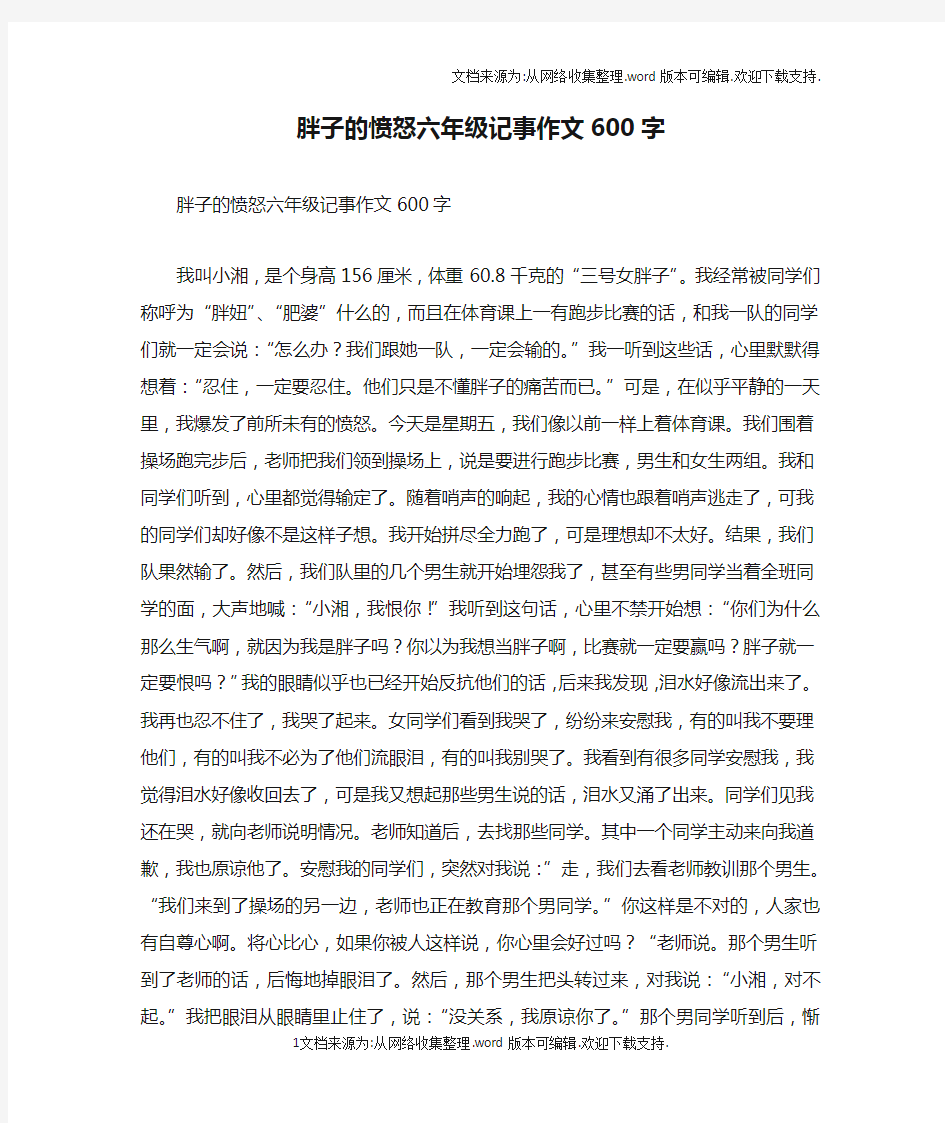 胖子的愤怒六年级记事作文600字