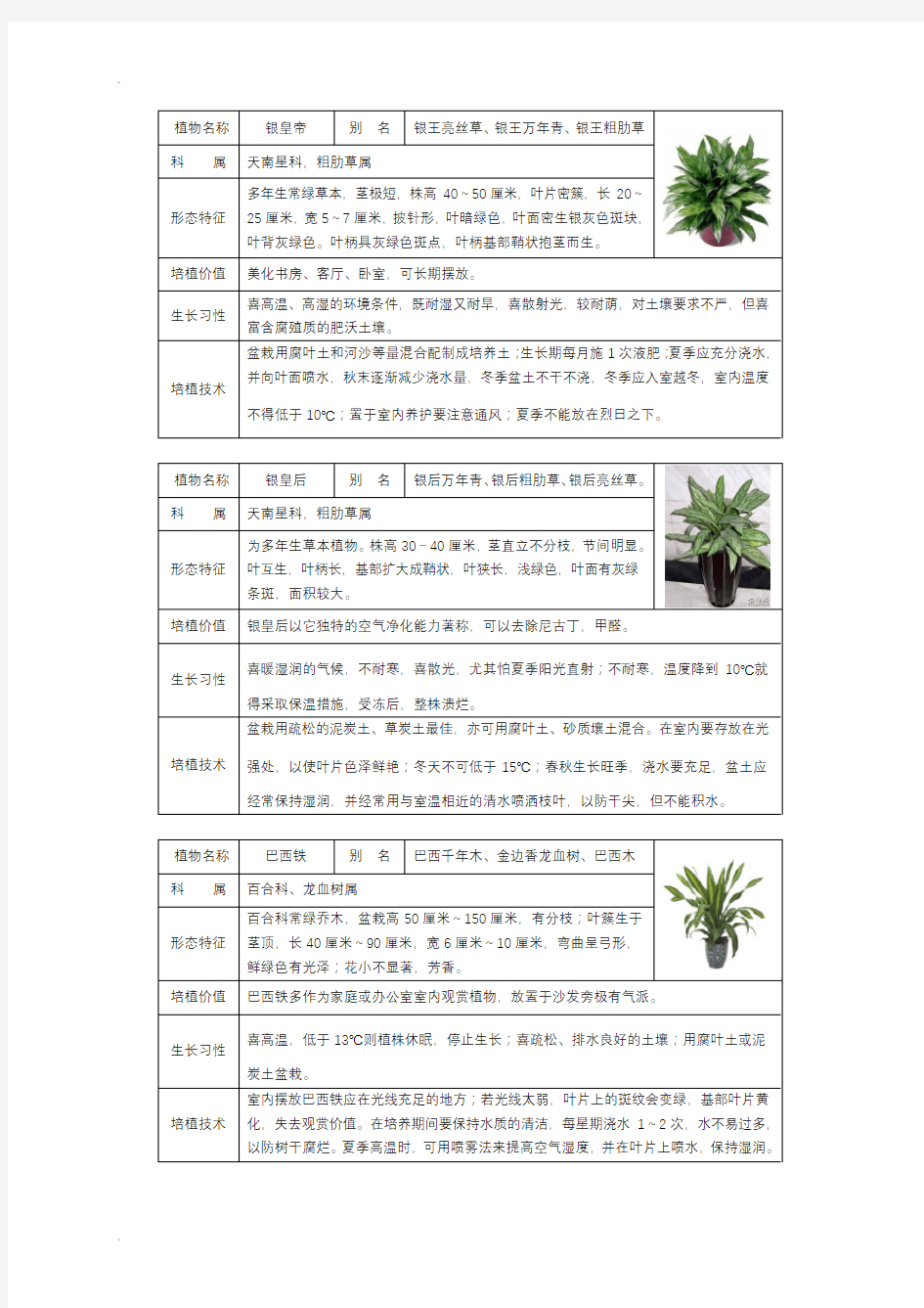 50种常见室内盆栽绿化植物介绍(带图片)