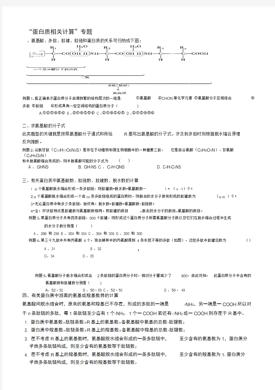 蛋白质相关计算专题