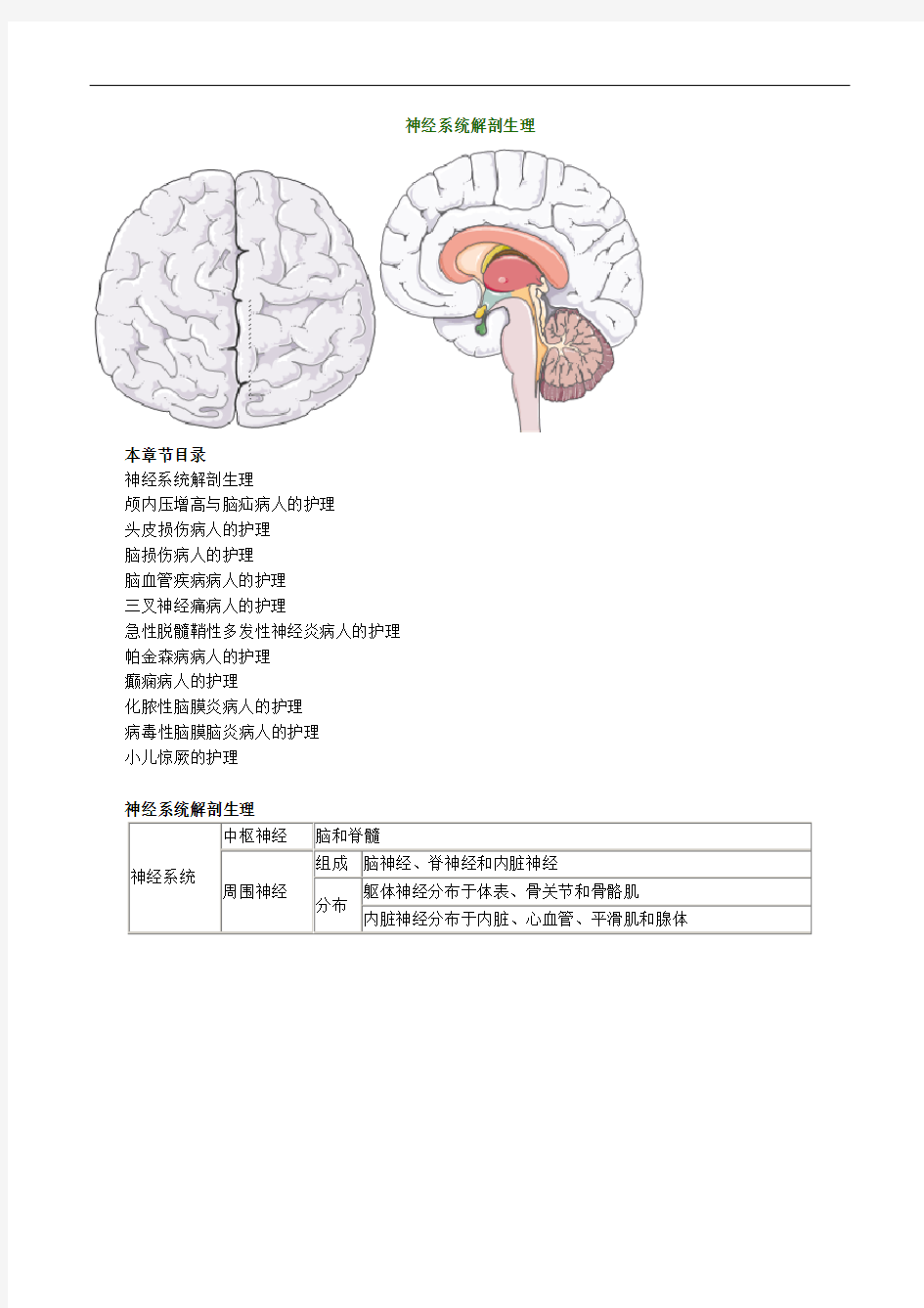 护士执业资格考试辅导 神经系统解剖生理