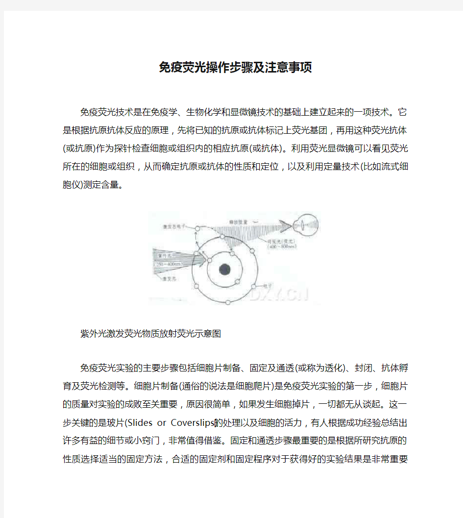 免疫荧光操作步骤及注意事项