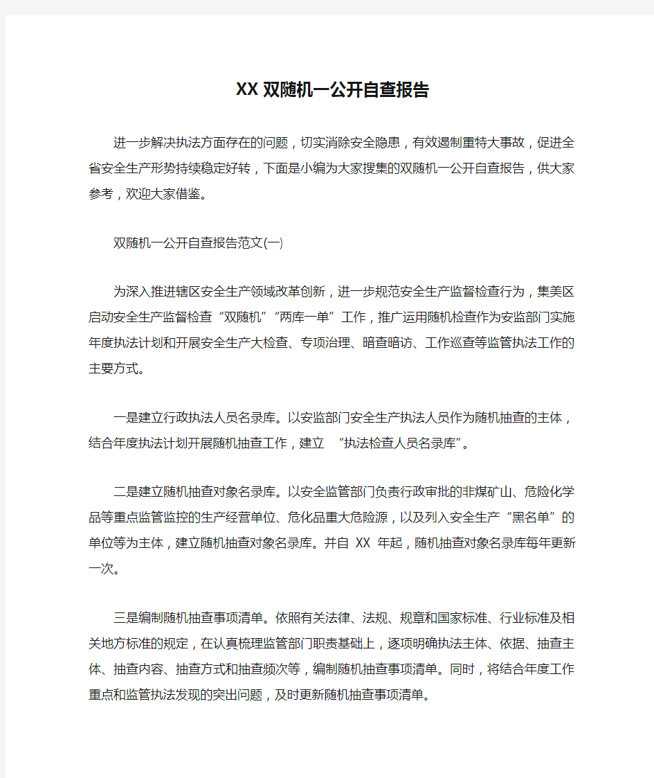 XX双随机一公开自查报告