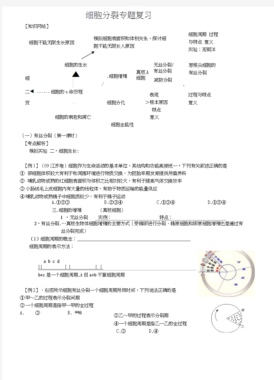 2017届细胞分裂一轮复习学案含答案_图文.docx