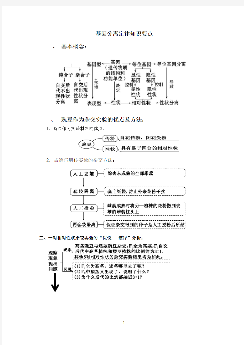 基因分离定律知识要点