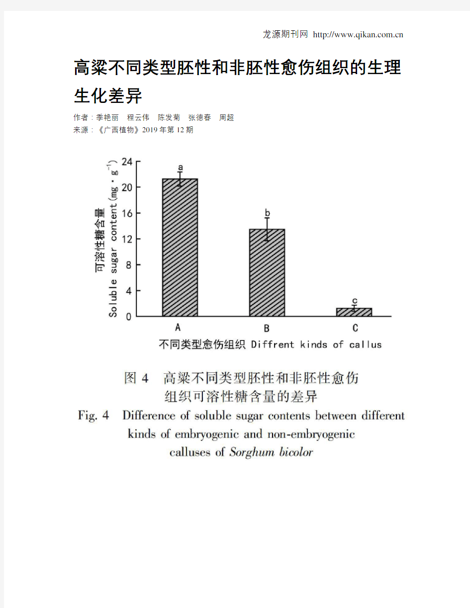 高粱不同类型胚性和非胚性愈伤组织的生理生化差异