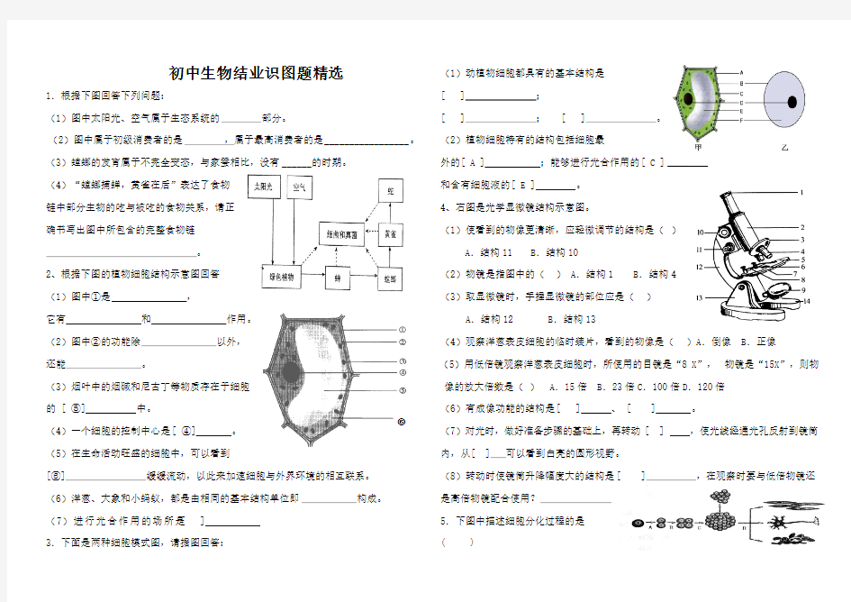 人教版初中生物识图专题(整理版)