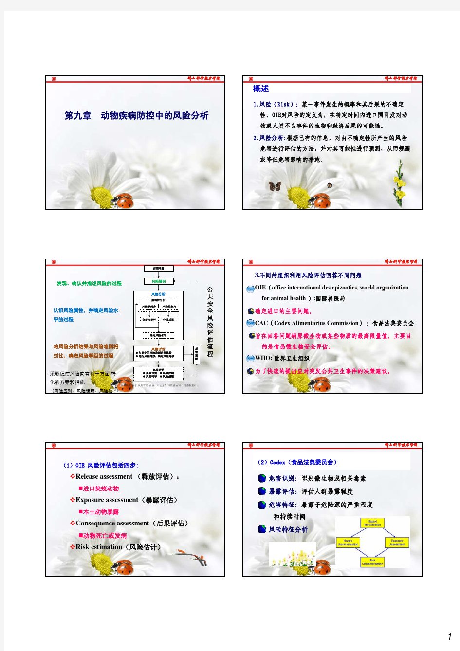 第九章 动物疾病防控中的风险分析