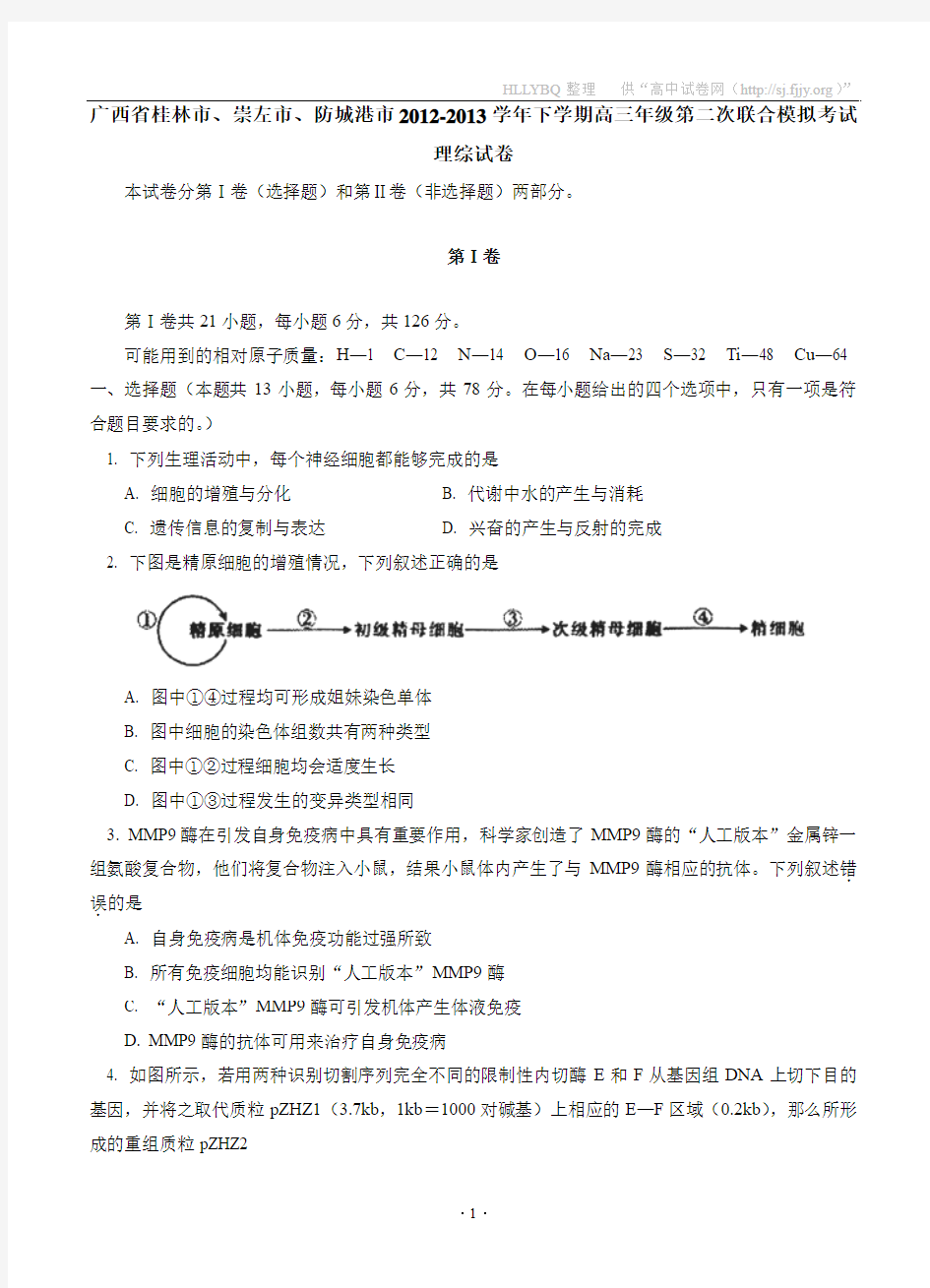 广西桂林市、崇左市、防城港市2013届高三第二次联合模拟考试理综