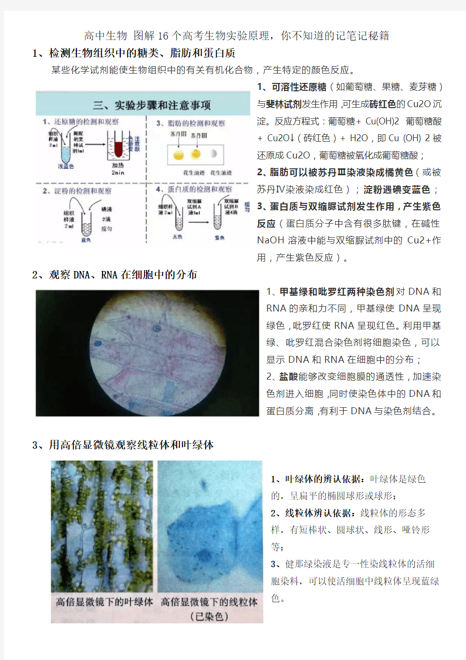 高中生物 图解16个高考生物实验原理