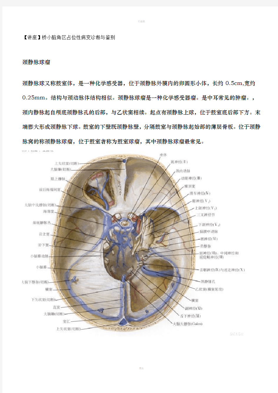 桥小脑角占位性病变诊断与鉴别