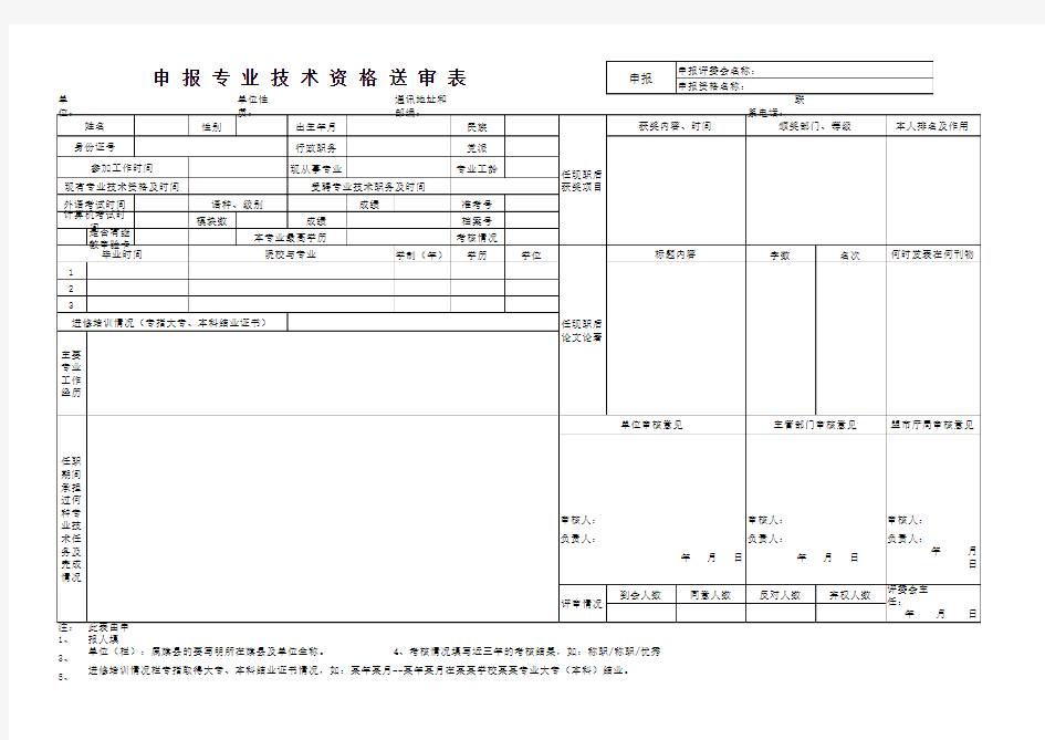 申报专业技术资格送审表