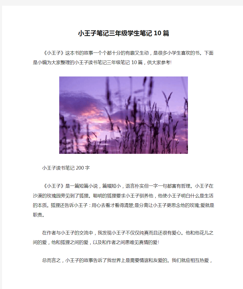 小王子笔记三年级学生笔记10篇 