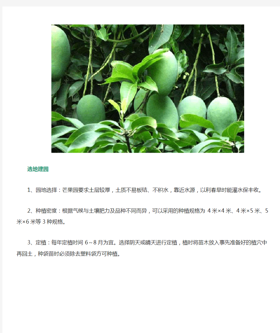 芒果种植与管理技术