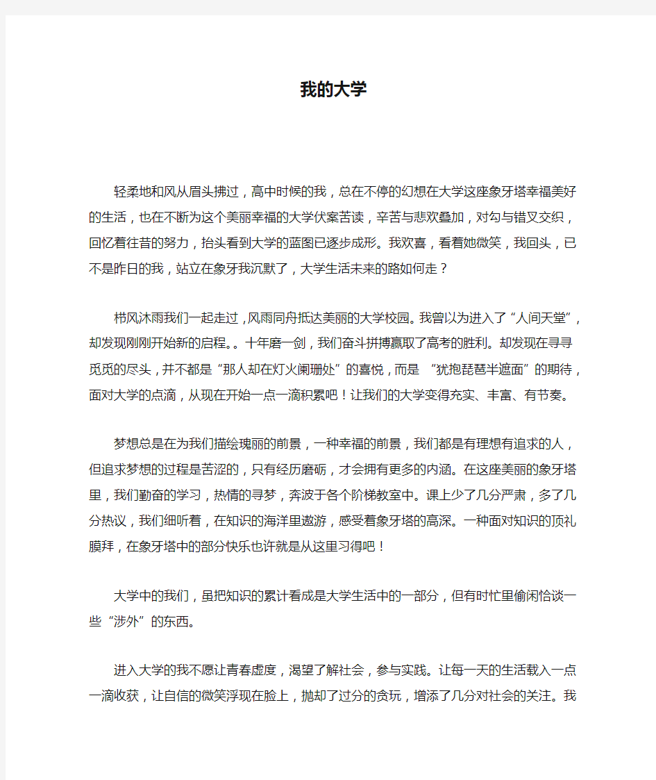 我的大学  大学论文