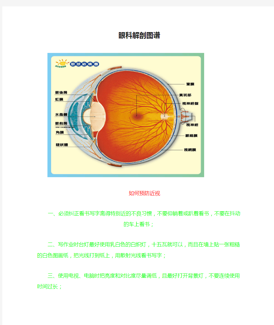 眼科解剖图谱