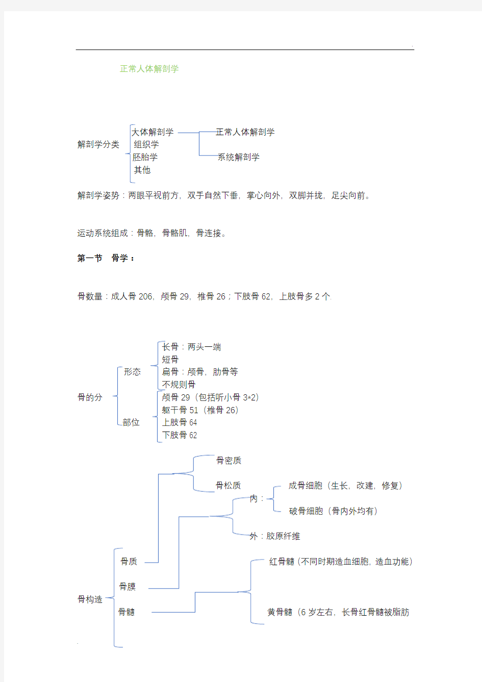 正常人体解剖学  骨学部分