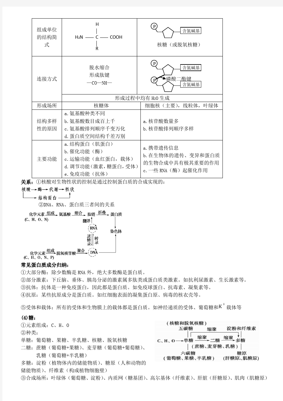 生物二轮复习知识点总结—专题一