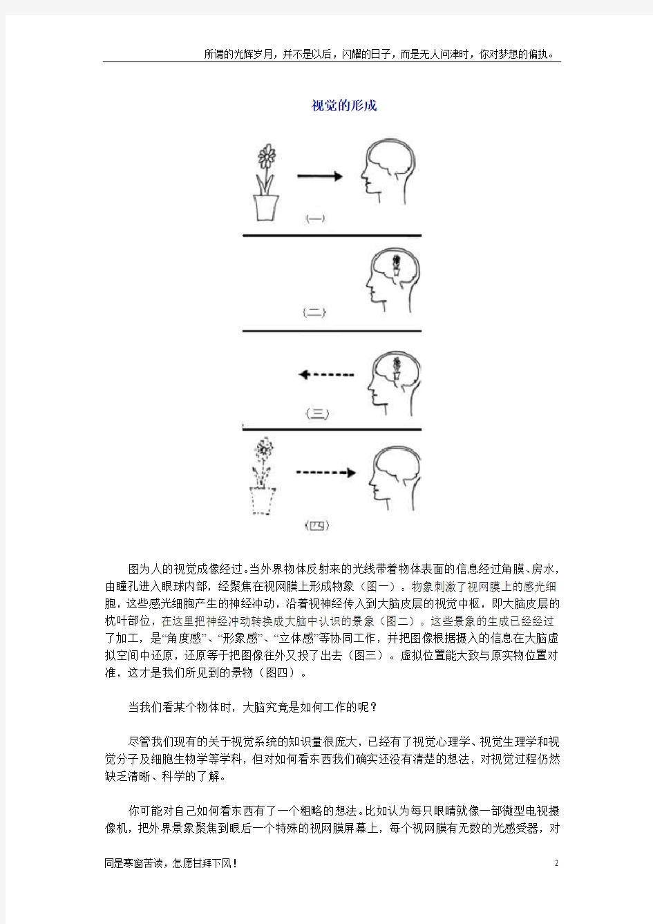 看眼睛是如何欺骗大脑的(新)