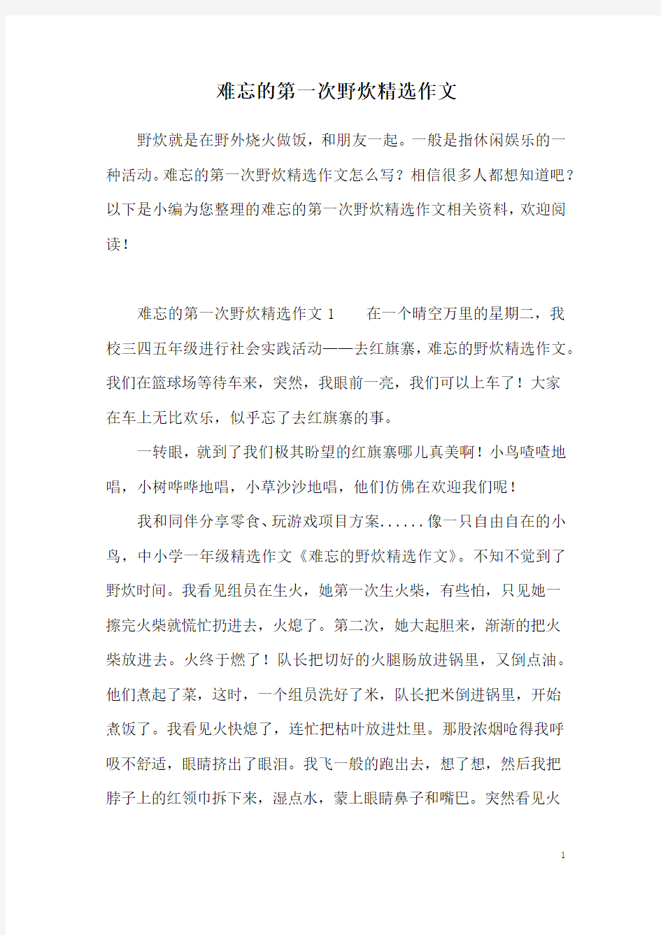 难忘的第一次野炊精选作文