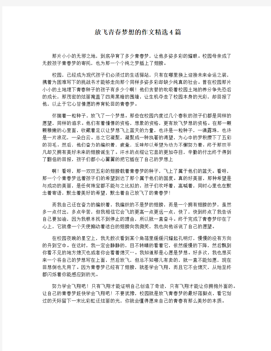 放飞青春梦想的作文精选4篇