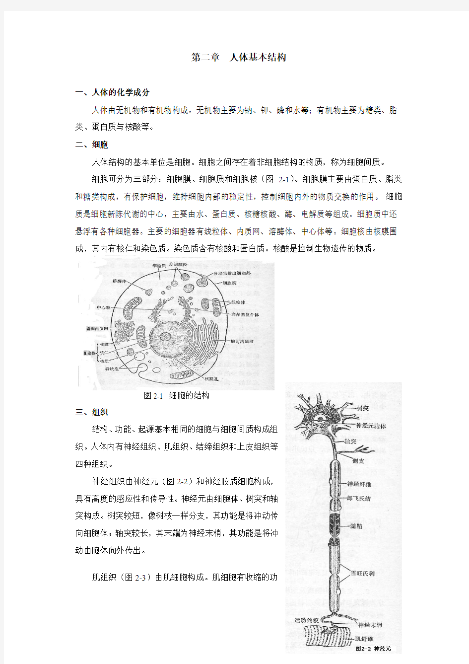 人体的基本构成