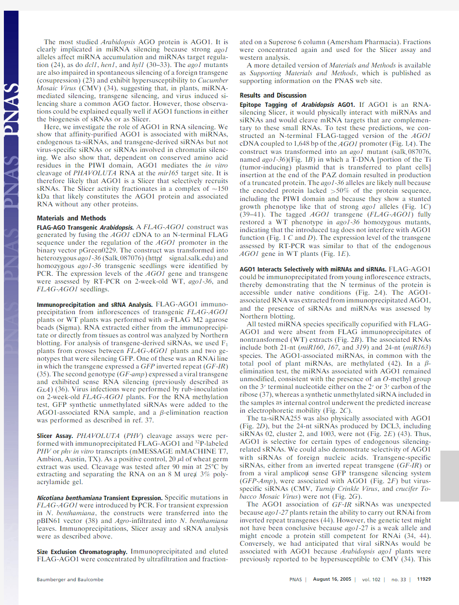 Arabidopsis ARGONAUTE1 is an RNA Slicer that selectively recruits rnicroRNAs and short interfering R