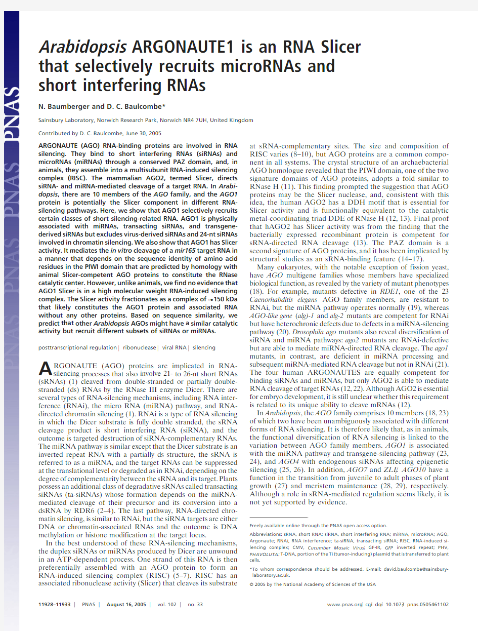 Arabidopsis ARGONAUTE1 is an RNA Slicer that selectively recruits rnicroRNAs and short interfering R