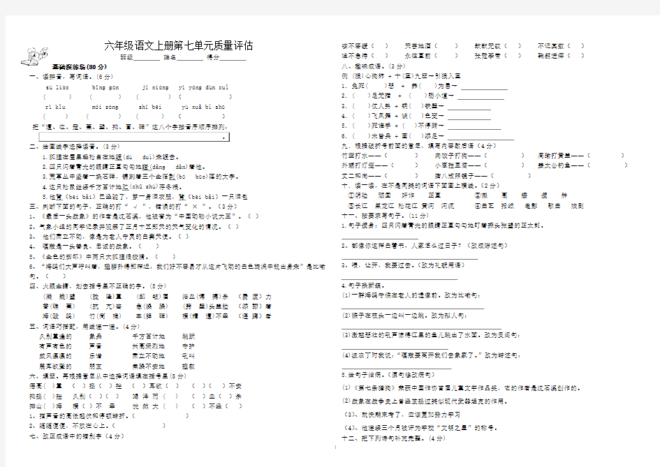 语文第七单元  试卷