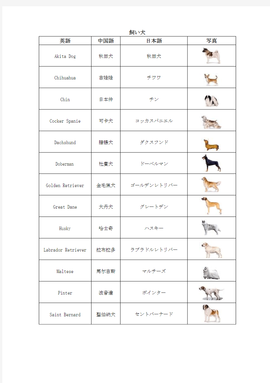 宠物犬名称中英日文对照