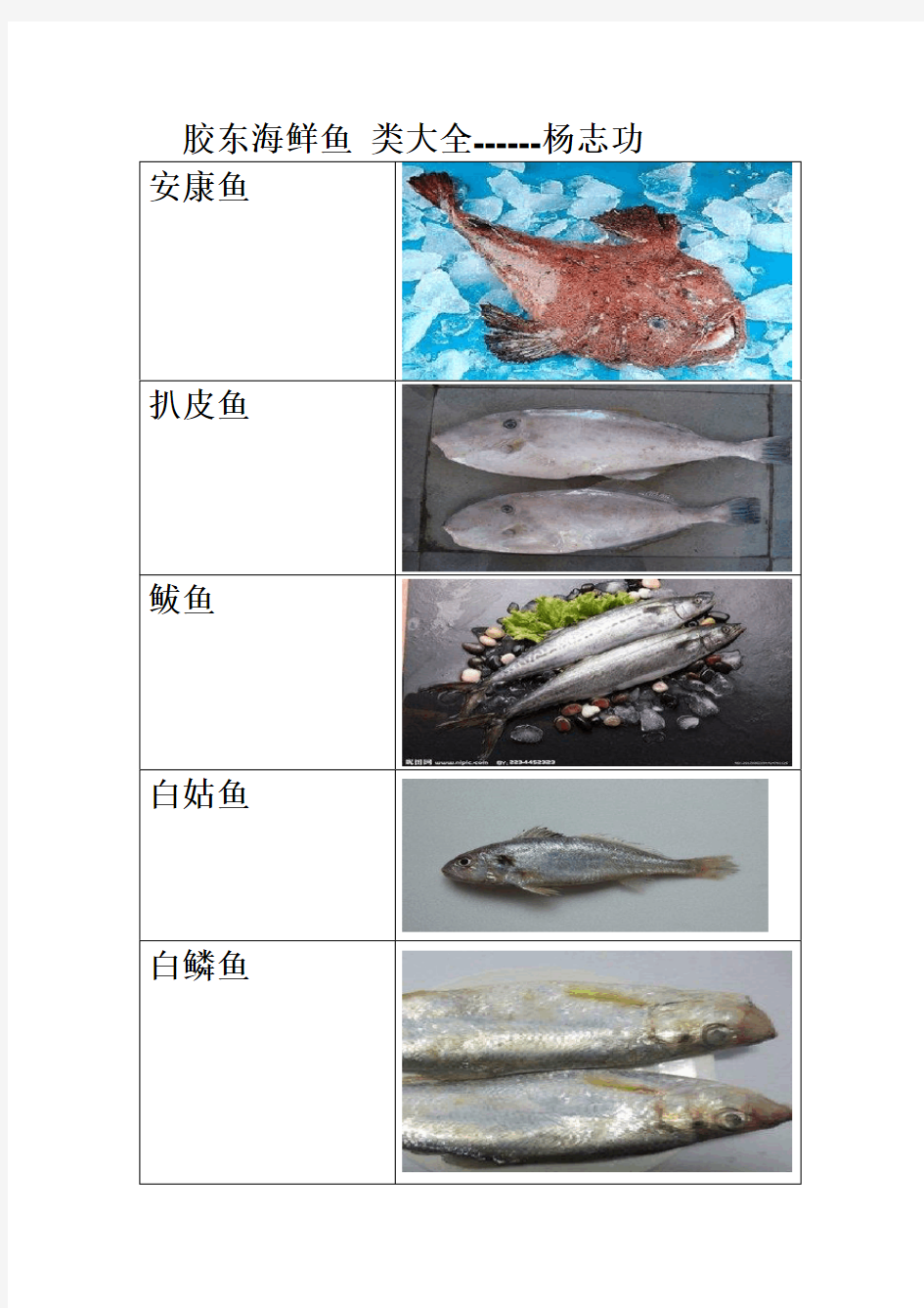 胶东海鲜常见鱼类大全