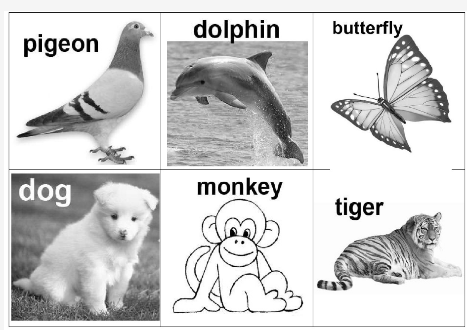 小学英语动物单词卡片(配图)