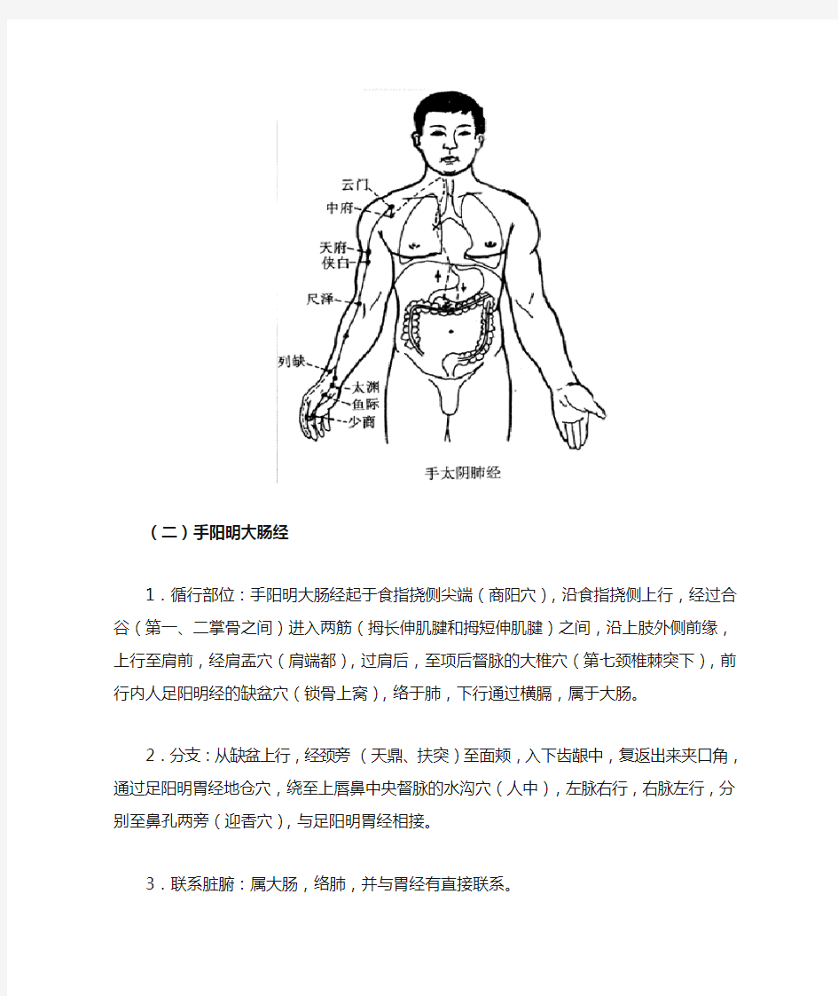 十二经脉和奇经八脉(组 图)