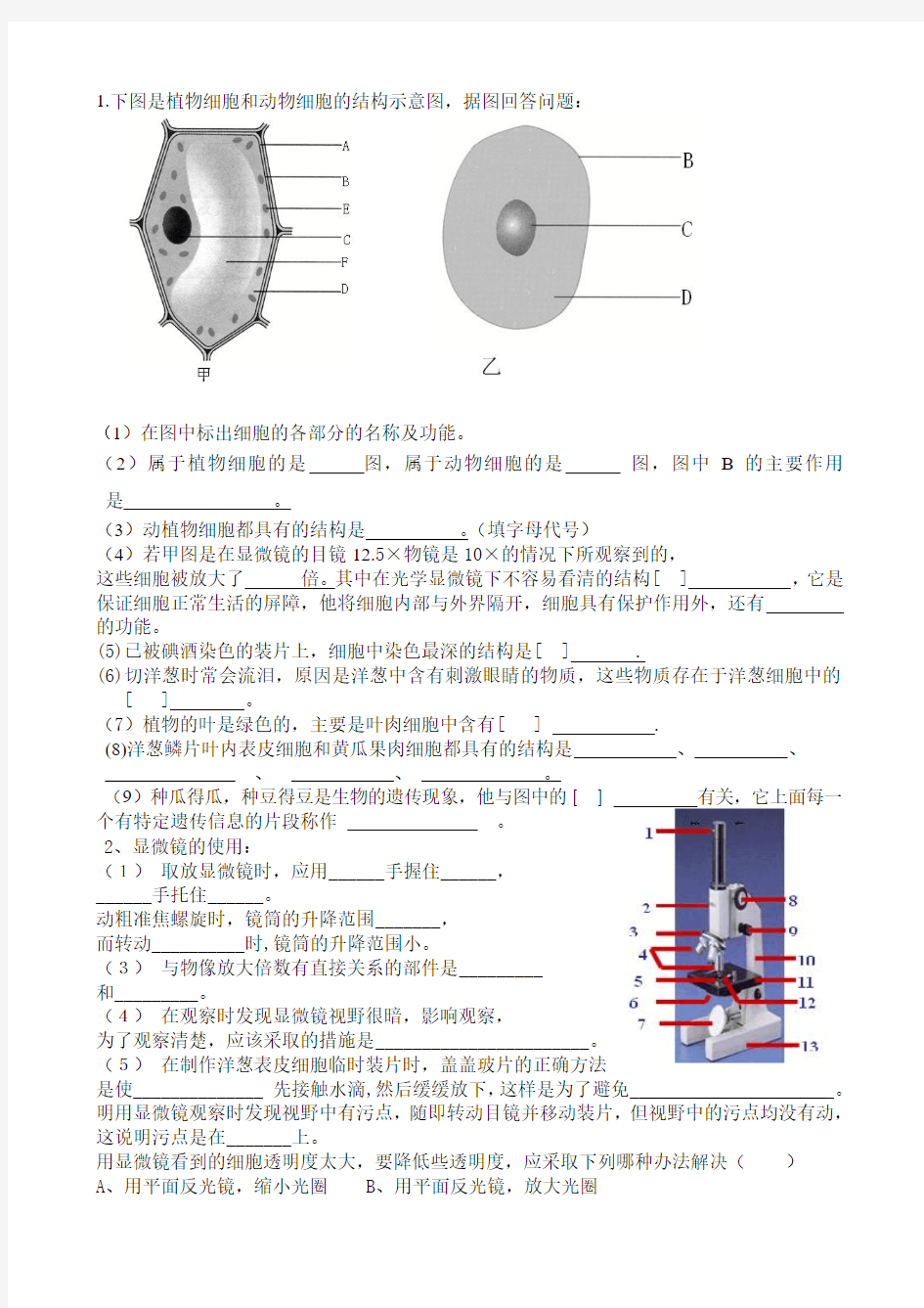 七年级上册生物识图题总复习