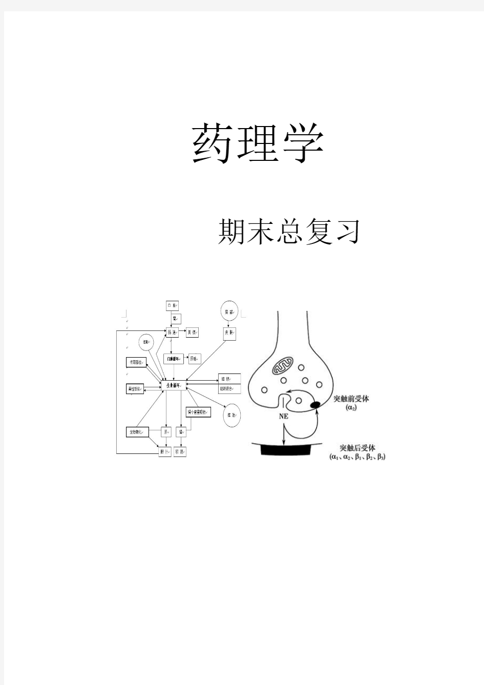 药理学期末总复习