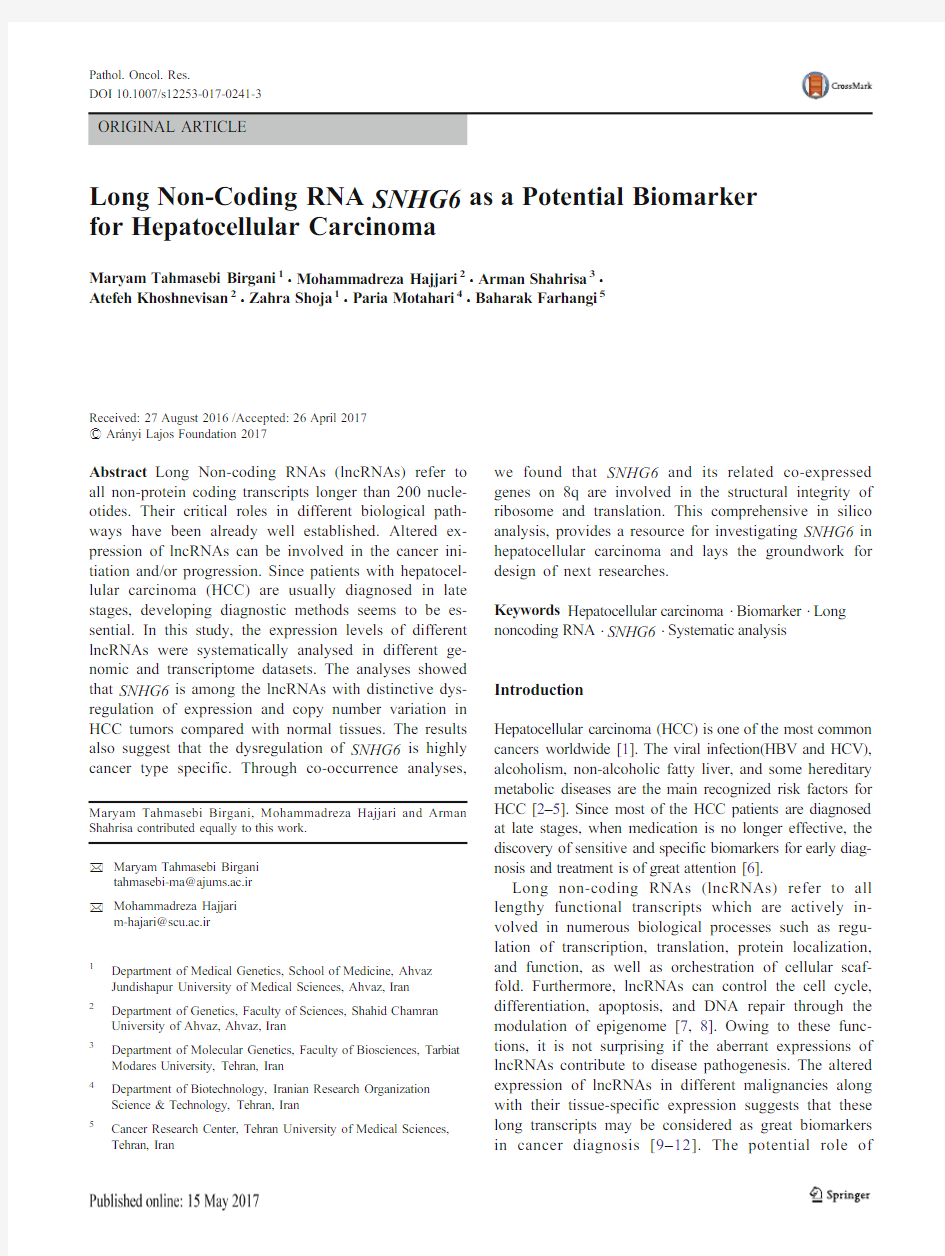 Long Non-Coding RNA SNHG6 as a Potential Biomarker for Hepatocellular Carcinoma