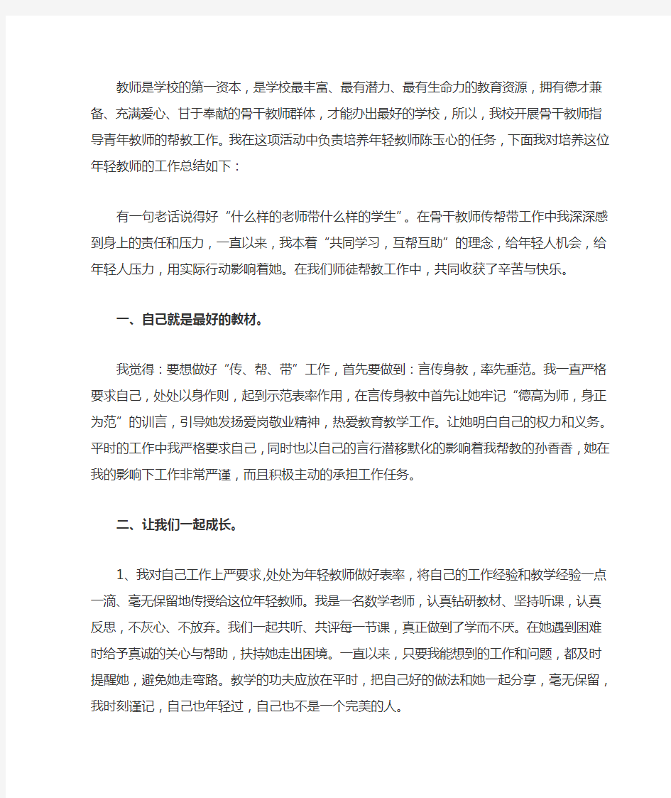 指导青年教师工作阶段总结