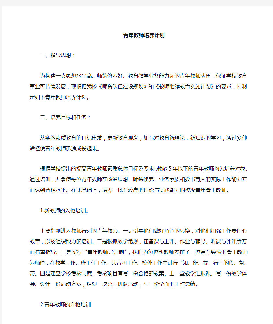 青年教师培养计划和措施