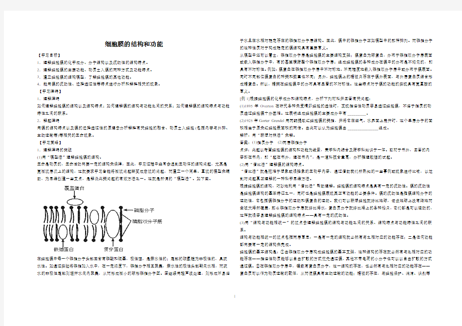 细胞膜的结构和功能