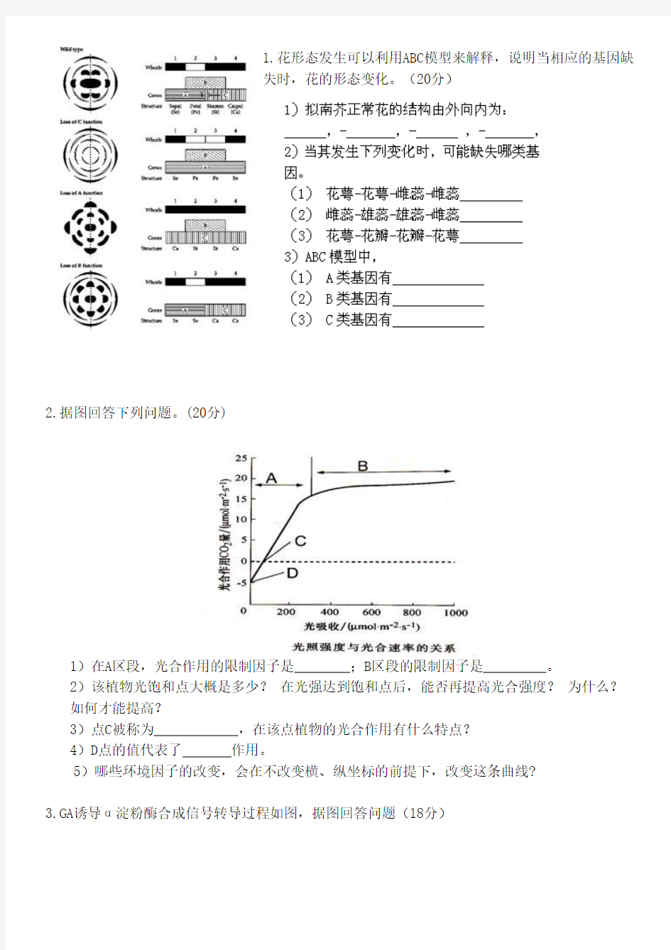 2012华南农业大学植物生理学考研试题