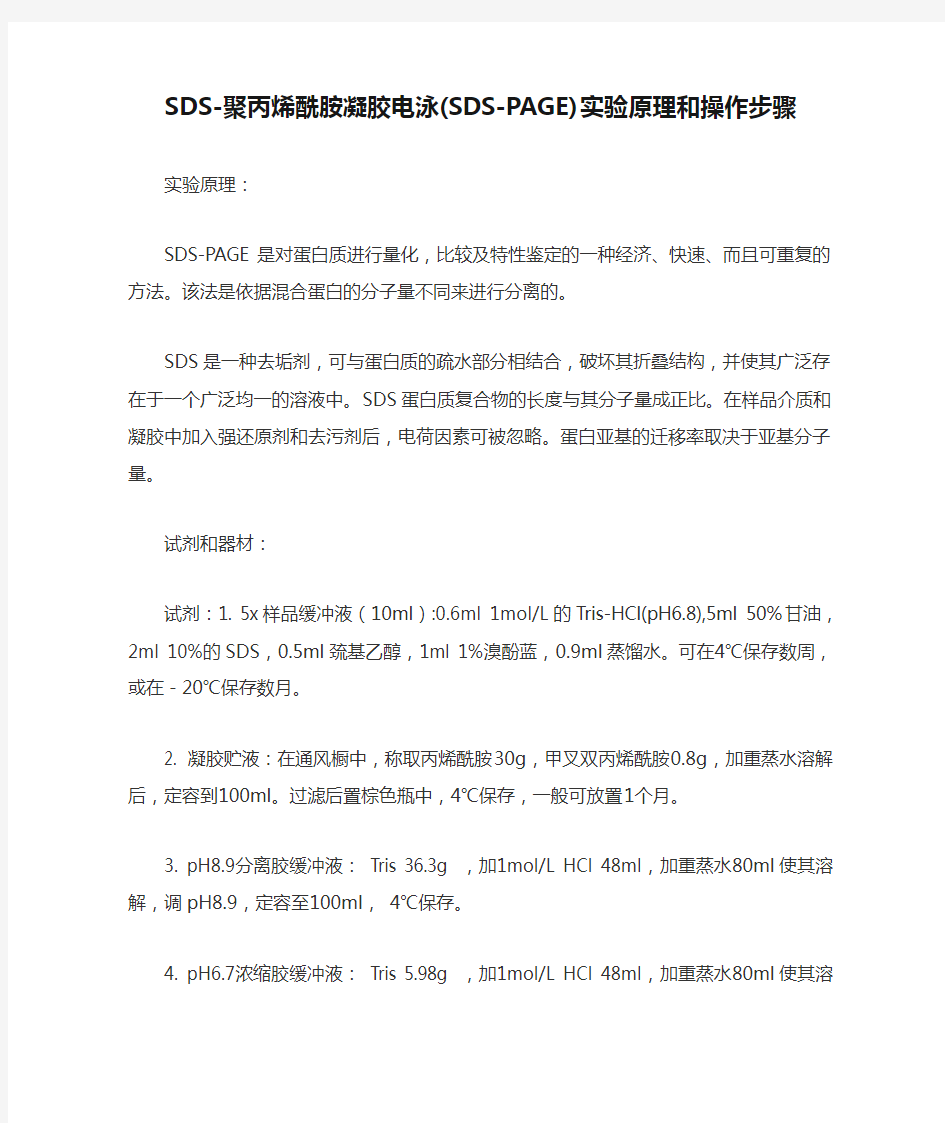 SDS-聚丙烯酰胺凝胶电泳(SDS-PAGE)实验原理和操作步骤